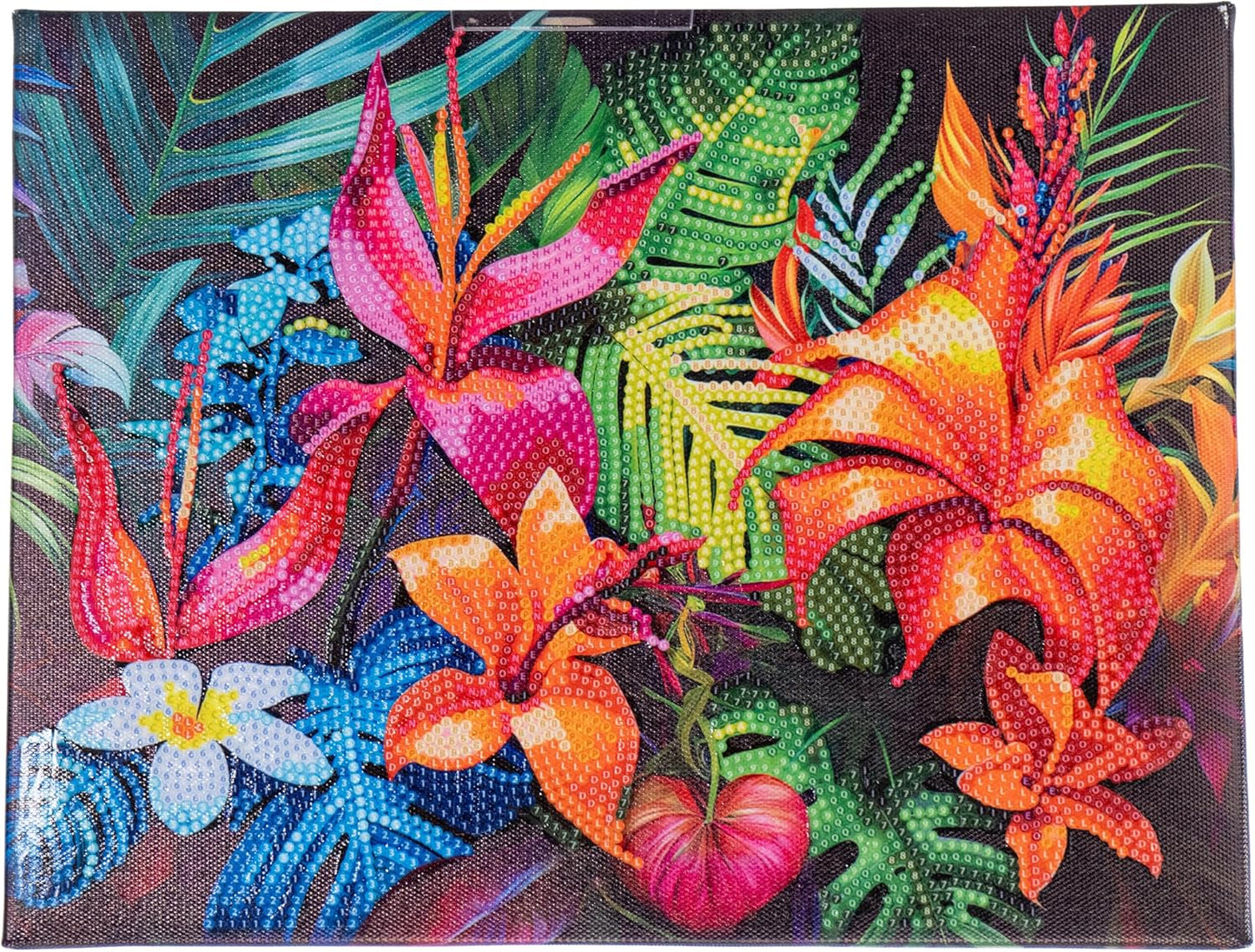 Diamantiny Quadro Diamond Painting - Kit Creativo Mosaico Diamanti